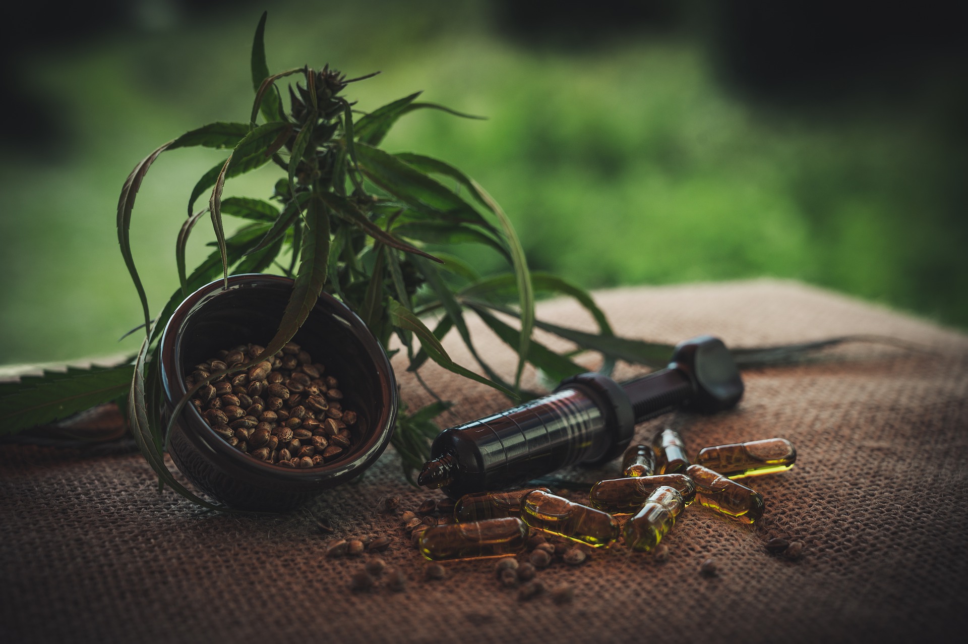 Improve your physical well-being by learning how CBD works